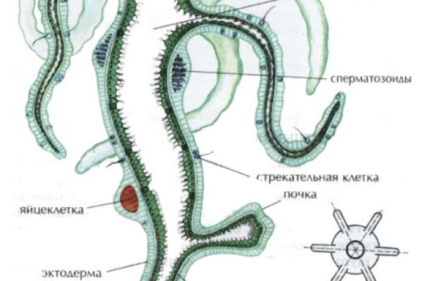 Ссылки в тор