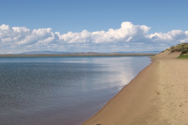 Войти на кракен