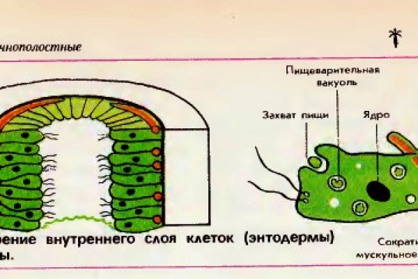 Kraken darknet ссылка тор