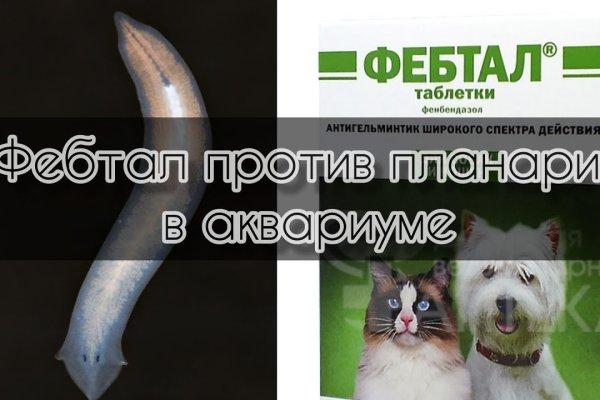 Кракен меф