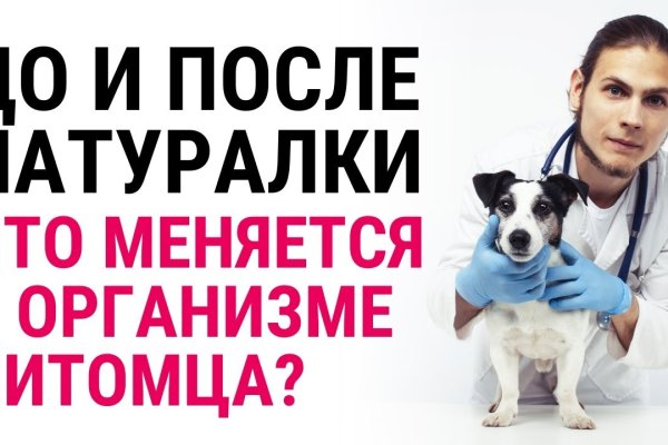 Кракен маркет только через тор